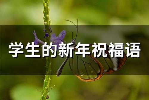学生的新年祝福语(51句)