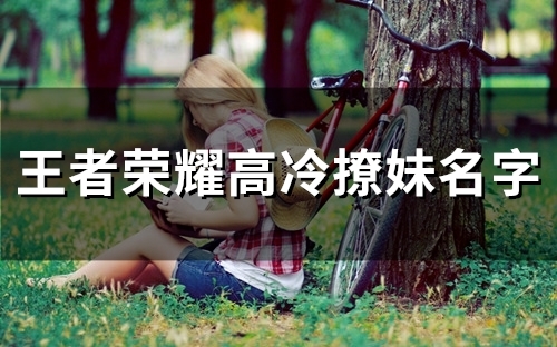 王者荣耀高冷撩妹名字(精选92个)