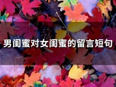 男闺蜜对女闺蜜的留言短句(66句)