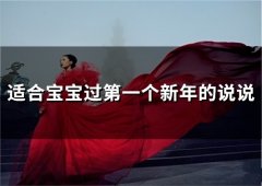 适合宝宝过第一个新年的说说(精选37句)