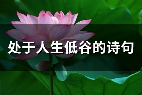 处于人生低谷的诗句(精选50句)