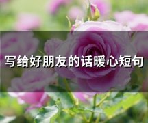 写给好朋友的话暖心短句(73句)