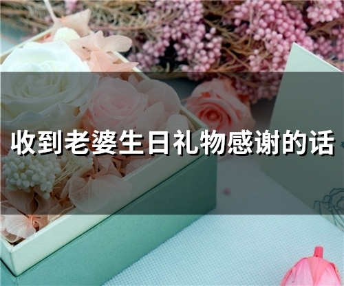 收到老婆生日礼物感谢的话(66句)