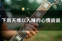 下雨天难以入睡的心情说说(33句)