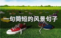 一句简短的风景句子(精选50句)