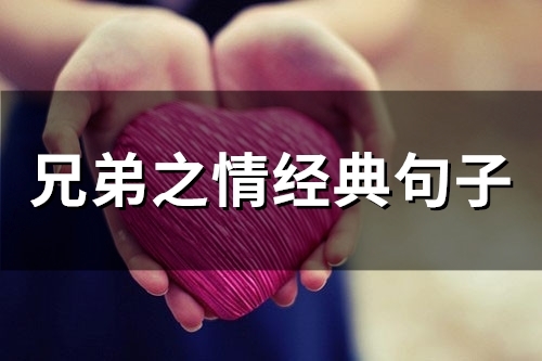 兄弟之情经典句子(精选65句)