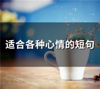 适合各种心情的短句(精选65句)