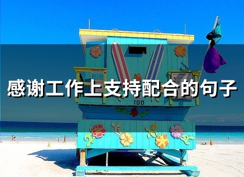 感谢工作上支持配合的句子(精选49句)