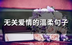 无关爱情的温柔句子(精选66句)