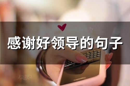 感谢好领导的句子(精选37句) 感谢好领导的句子(精选37句)