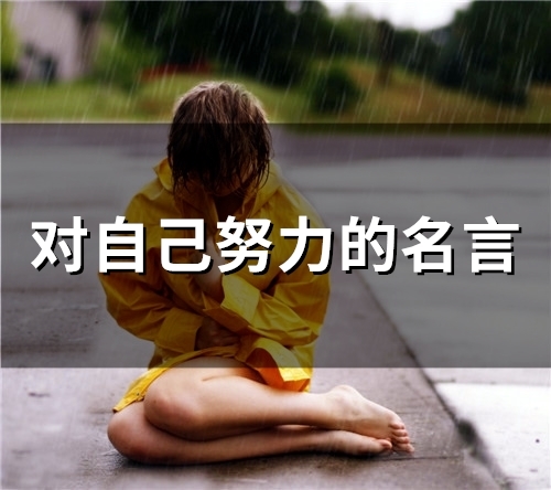 对自己努力的名言(精选55个)
