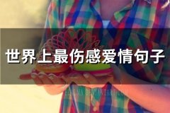 世界上最伤感爱情句子(精选65句)