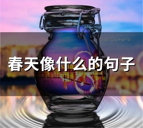 春天像什么的句子(34句)