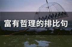 富有哲理的排比句(精选51句)