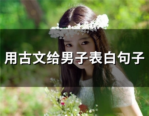 用古文给男子表白句子(精选66句)