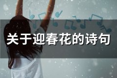 关于迎春花的诗句(精选34句)