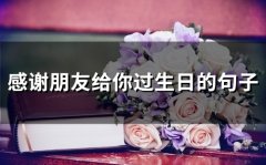 感谢朋友给你过生日的句子(精选33句)