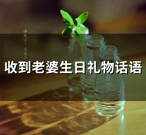 收到老婆生日礼物话语(精选66句)
