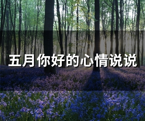 五月你好的心情说说(精选49句)