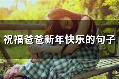 祝福爸爸新年快乐的句子(58句)