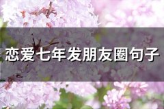 恋爱七年发朋友圈句子(精选29句)