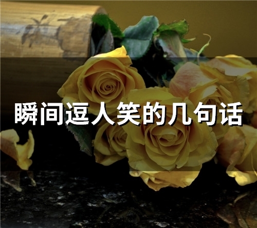 瞬间逗人笑的几句话(精选55句)