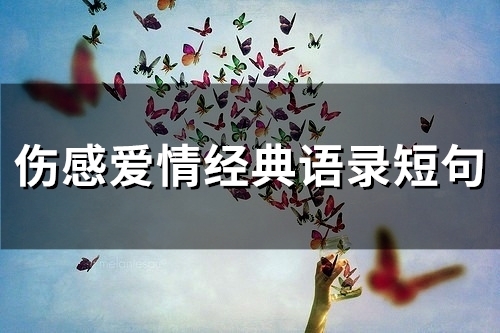 伤感爱情经典语录短句(66句)