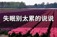 失眠别太累的说说(精选73句)