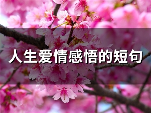 人生爱情感悟的短句(精选66句)