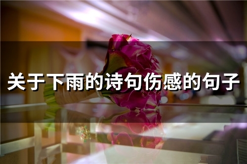 关于下雨的诗句伤感的句子(26句) 关于下雨的诗句伤感的句子(26句)