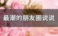 最潮的朋友圈说说(精选66句)