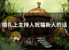 婚礼上主持人祝福新人的话(65句)