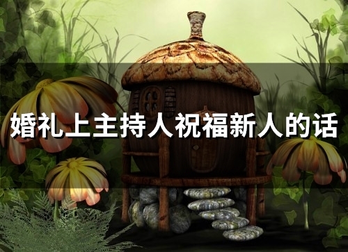 婚礼上主持人祝福新人的话(65句)