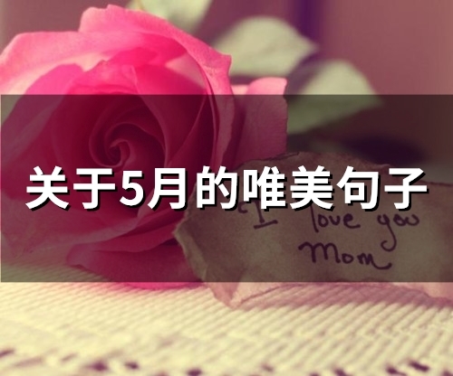 关于5月的唯美句子(66句)