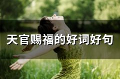 天官赐福的好词好句(精选43句)