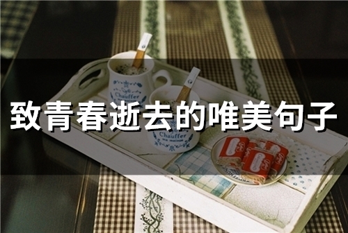 致青春逝去的唯美句子(50句)