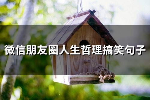 微信朋友圈人生哲理搞笑句子(精选65句)
