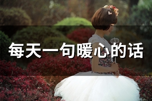 每天一句暖心的话(精选67句)