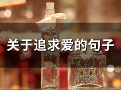 关于追求爱的句子(精选70句)