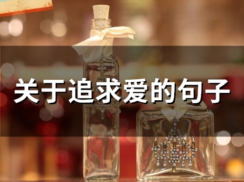 关于追求爱的句子(精选70句)