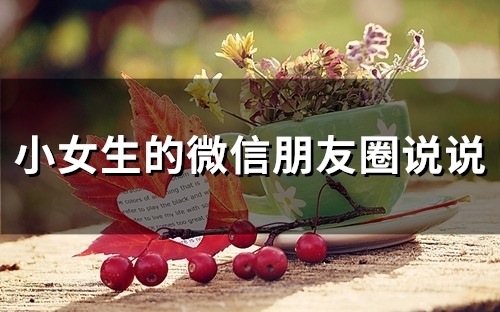 小女生的微信朋友圈说说(精选66句)