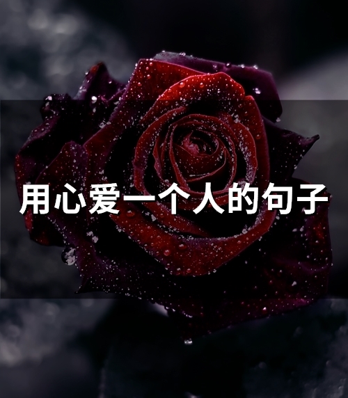用心爱一个人的句子(73句) 用心爱一个人的句子(73句)
