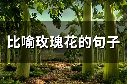 比喻玫瑰花的句子(29句) 比喻玫瑰花的句子(29句)