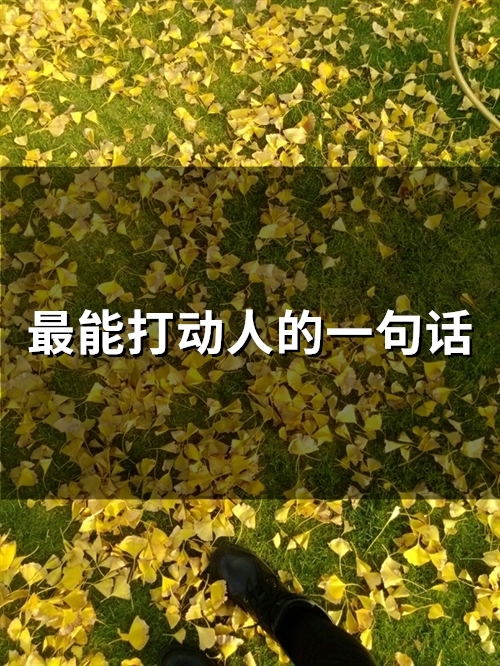最能打动人的一句话(66句)