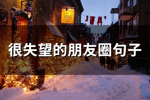 很失望的朋友圈句子(67句) 很失望的朋友圈句子(67句)