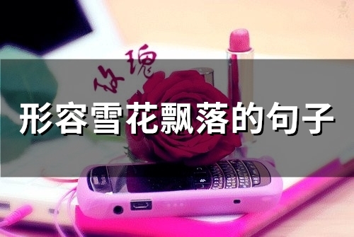 形容雪花飘落的句子(精选50句) 形容雪花飘落的句子(精选50句)
