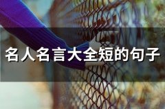 名人名言大全短的句子(65个)