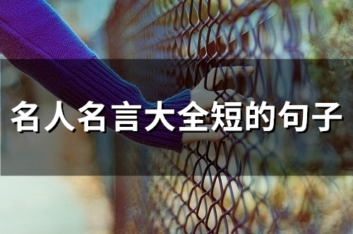 名人名言大全短的句子(65个)