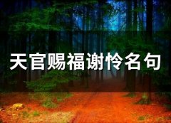天官赐福谢怜名句(精选26个)