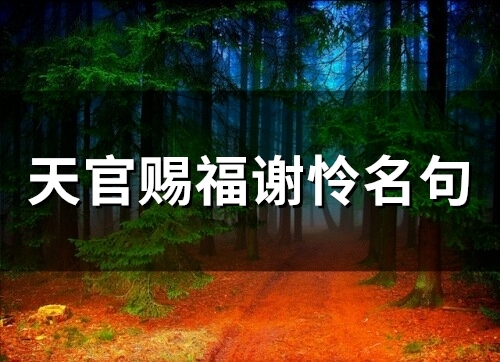 天官赐福谢怜名句(精选26个)